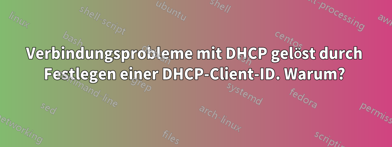 Verbindungsprobleme mit DHCP gelöst durch Festlegen einer DHCP-Client-ID. Warum?