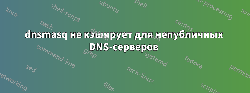 dnsmasq не кэширует для непубличных DNS-серверов