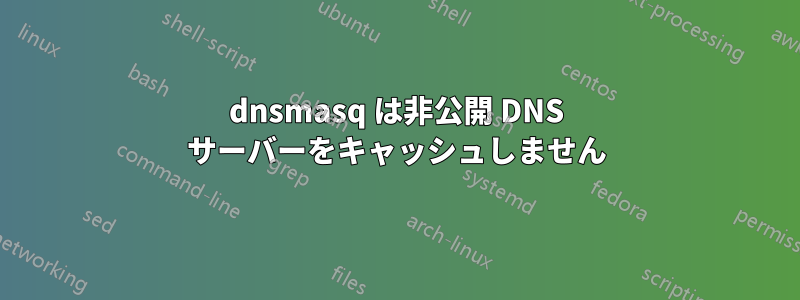 dnsmasq は非公開 DNS サーバーをキャッシュしません