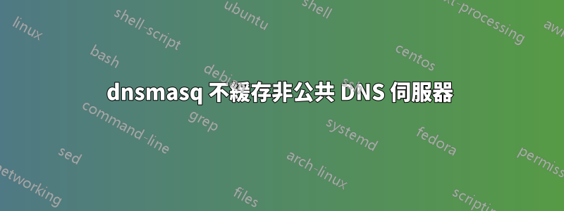 dnsmasq 不緩存非公共 DNS 伺服器