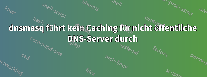 dnsmasq führt kein Caching für nicht öffentliche DNS-Server durch