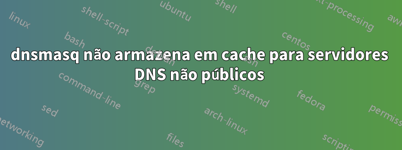 dnsmasq não armazena em cache para servidores DNS não públicos