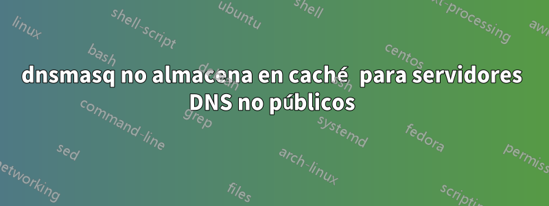 dnsmasq no almacena en caché para servidores DNS no públicos