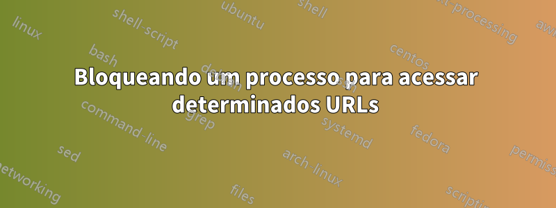 Bloqueando um processo para acessar determinados URLs