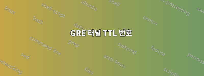 GRE 터널 TTL 번호