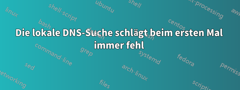 Die lokale DNS-Suche schlägt beim ersten Mal immer fehl