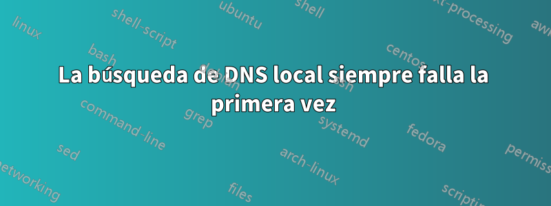 La búsqueda de DNS local siempre falla la primera vez