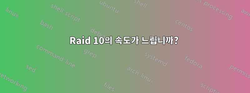 Raid 10의 속도가 느립니까?