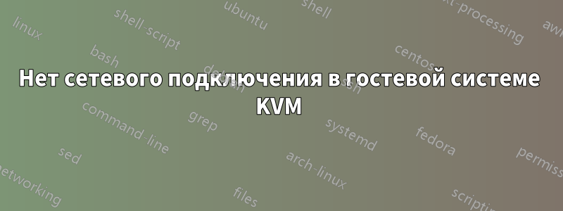 Нет сетевого подключения в гостевой системе KVM