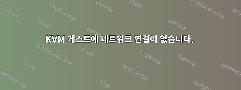 KVM 게스트에 네트워크 연결이 없습니다.