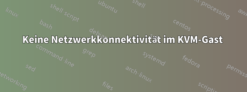 Keine Netzwerkkonnektivität im KVM-Gast