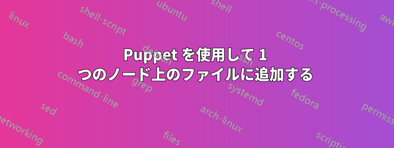 Puppet を使用して 1 つのノード上のファイルに追加する