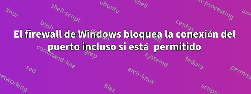 El firewall de Windows bloquea la conexión del puerto incluso si está permitido