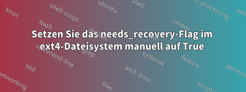 Setzen Sie das needs_recovery-Flag im ext4-Dateisystem manuell auf True