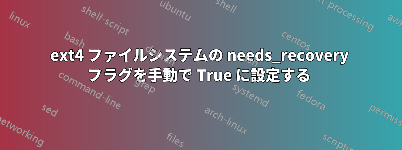 ext4 ファイルシステムの needs_recovery フラグを手動で True に設定する