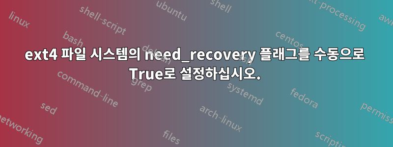 ext4 파일 시스템의 need_recovery 플래그를 수동으로 True로 설정하십시오.