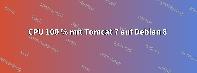 CPU 100 % mit Tomcat 7 auf Debian 8