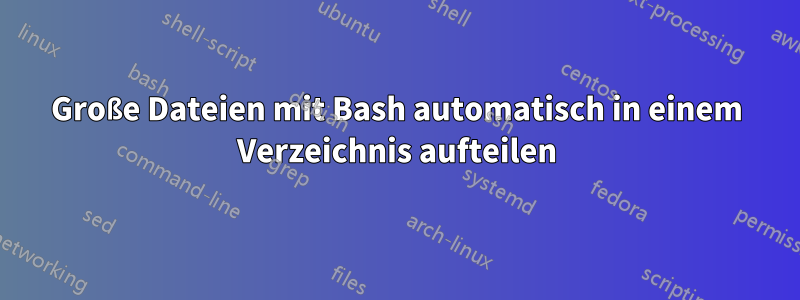 Große Dateien mit Bash automatisch in einem Verzeichnis aufteilen