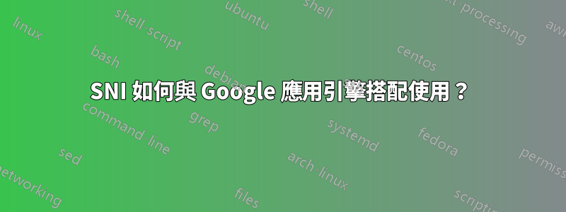 SNI 如何與 Google 應用引擎搭配使用？