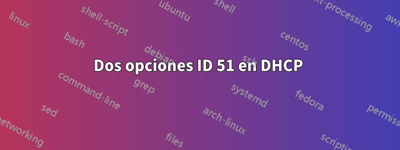 Dos opciones ID 51 en DHCP