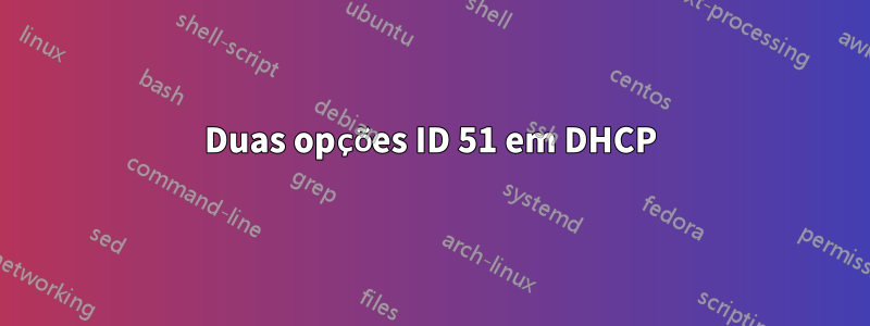 Duas opções ID 51 em DHCP