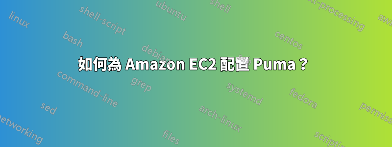 如何為 Amazon EC2 配置 Puma？