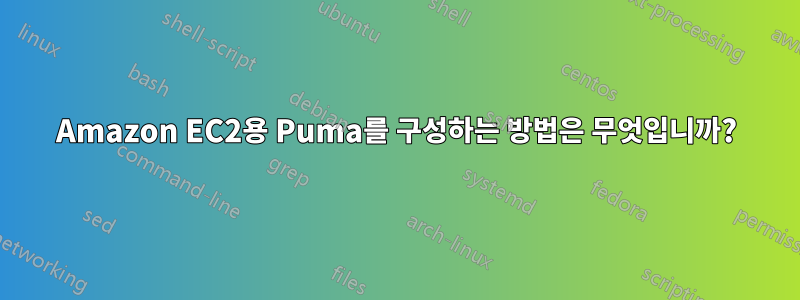 Amazon EC2용 Puma를 구성하는 방법은 무엇입니까?