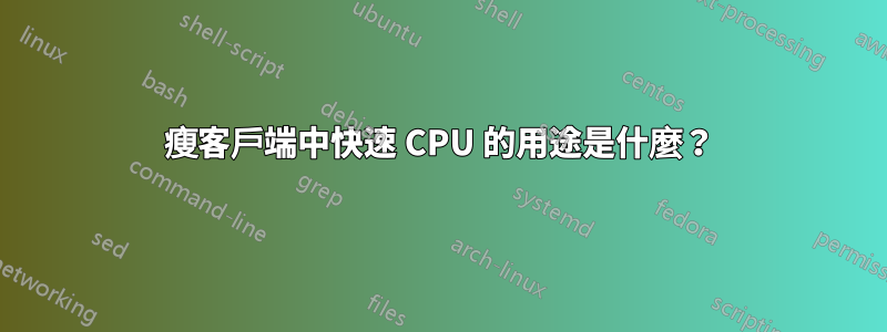 瘦客戶端中快速 CPU 的用途是什麼？