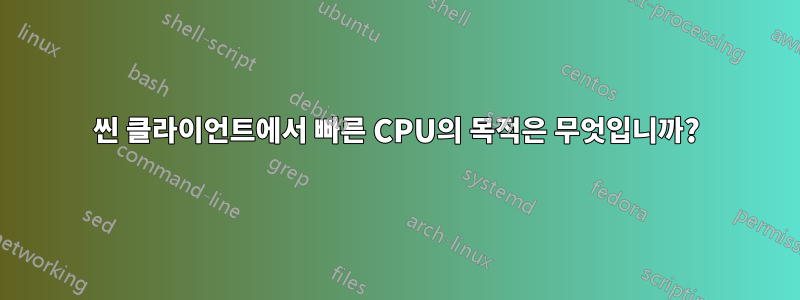 씬 클라이언트에서 빠른 CPU의 목적은 무엇입니까?