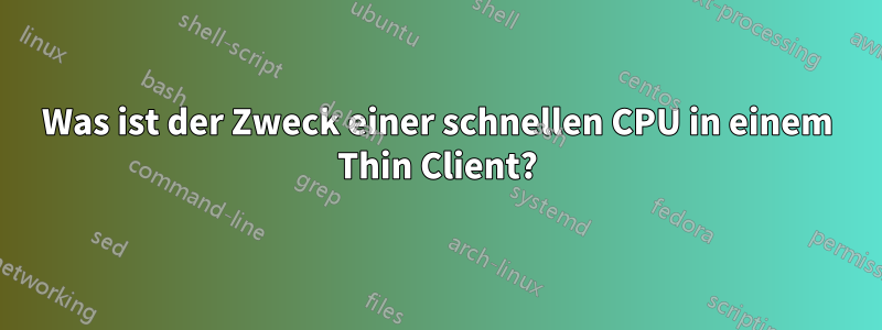 Was ist der Zweck einer schnellen CPU in einem Thin Client?