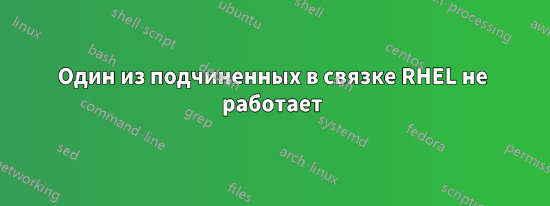 Один из подчиненных в связке RHEL не работает