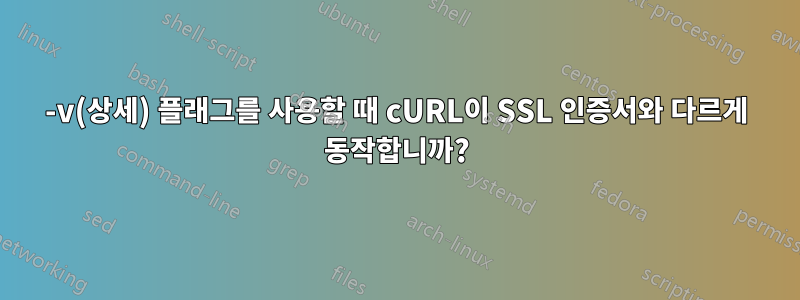 -v(상세) 플래그를 사용할 때 cURL이 SSL 인증서와 다르게 동작합니까?