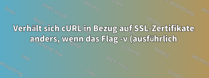 Verhält sich cURL in Bezug auf SSL-Zertifikate anders, wenn das Flag -v (ausführlich) verwendet wird?