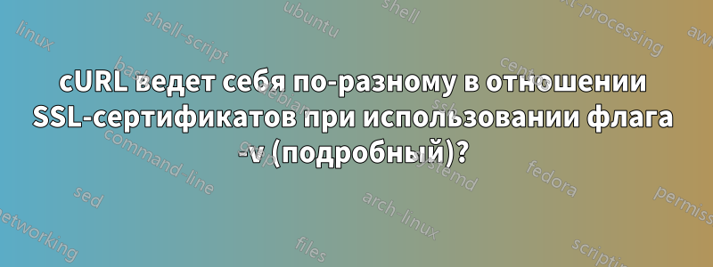 cURL ведет себя по-разному в отношении SSL-сертификатов при использовании флага -v (подробный)?