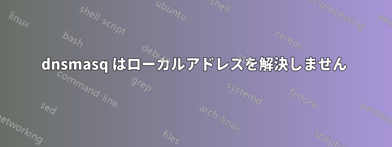 dnsmasq はローカルアドレスを解決しません