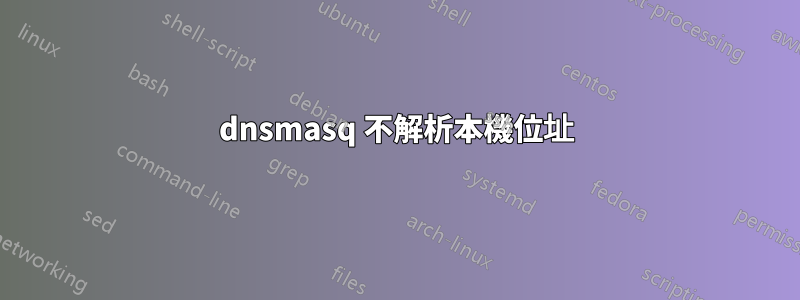 dnsmasq 不解析本機位址