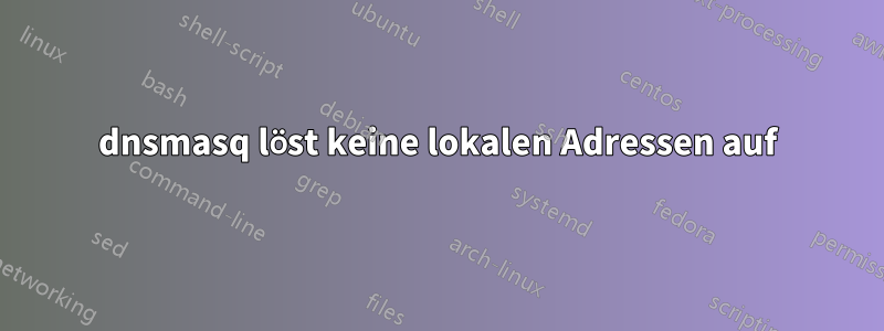 dnsmasq löst keine lokalen Adressen auf