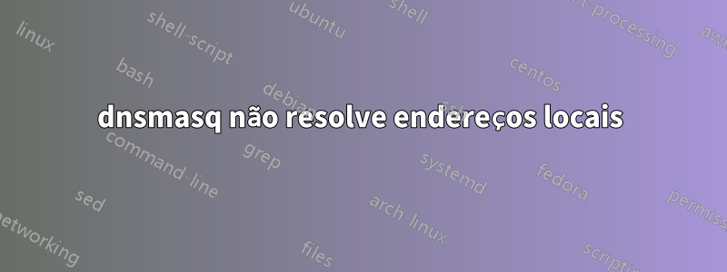 dnsmasq não resolve endereços locais