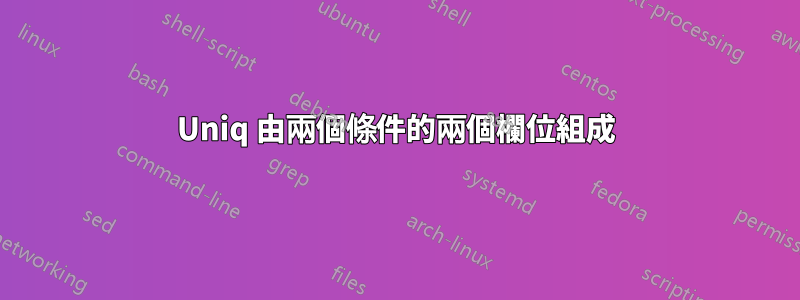 Uniq 由兩個條件的兩個欄位組成