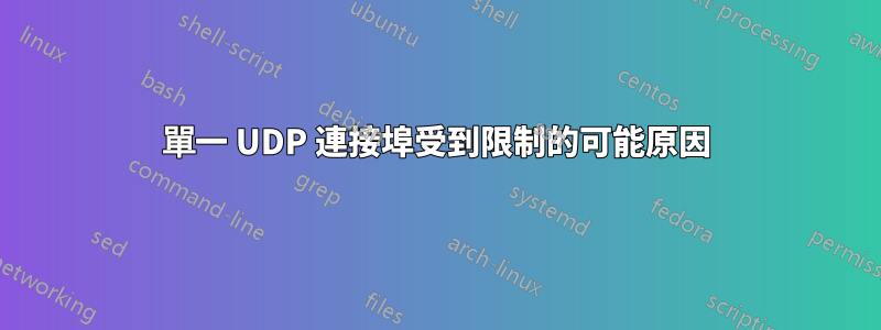 單一 UDP 連接埠受到限制的可能原因