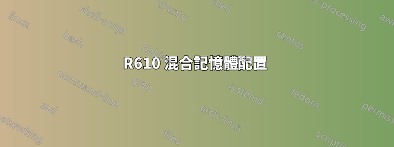 R610 混合記憶體配置