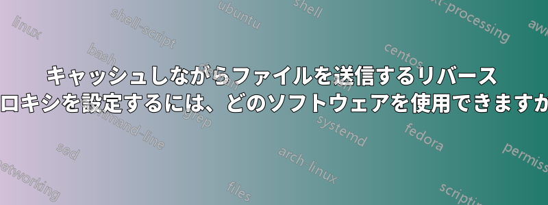 キャッシュしながらファイルを送信するリバース プロキシを設定するには、どのソフトウェアを使用できますか?