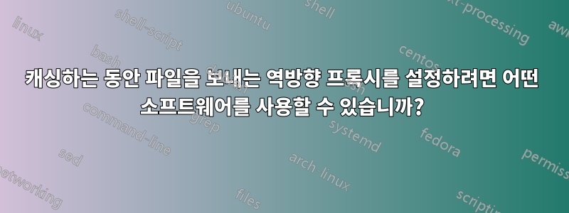 캐싱하는 동안 파일을 보내는 역방향 프록시를 설정하려면 어떤 소프트웨어를 사용할 수 있습니까?