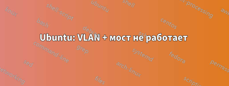 Ubuntu: VLAN + мост не работает