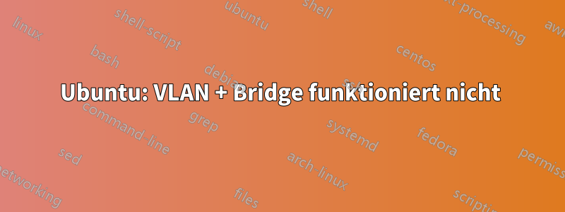 Ubuntu: VLAN + Bridge funktioniert nicht