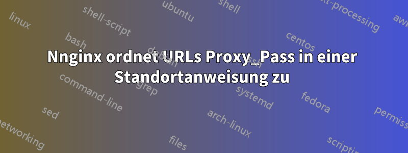 Nnginx ordnet URLs Proxy_Pass in einer Standortanweisung zu