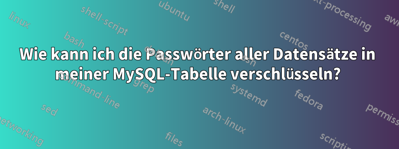 Wie kann ich die Passwörter aller Datensätze in meiner MySQL-Tabelle verschlüsseln?