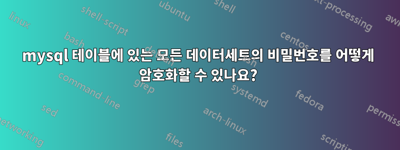 mysql 테이블에 있는 모든 데이터세트의 비밀번호를 어떻게 암호화할 수 있나요?