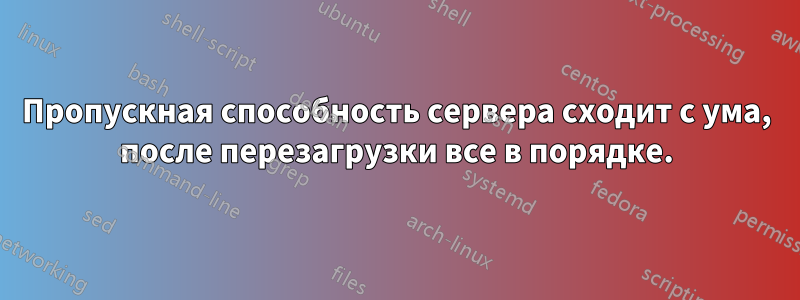 Пропускная способность сервера сходит с ума, после перезагрузки все в порядке.