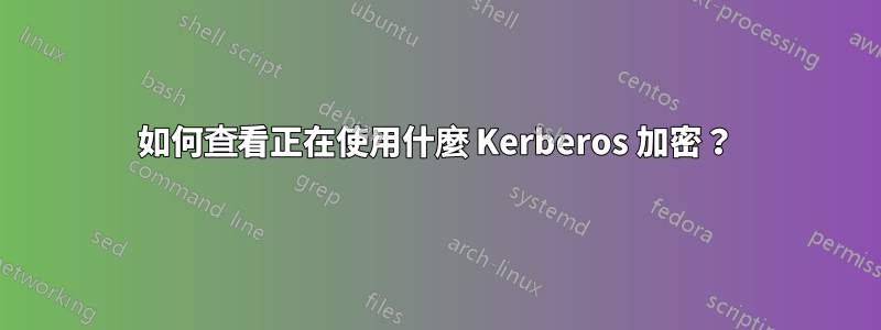 如何查看正在使用什麼 Kerberos 加密？
